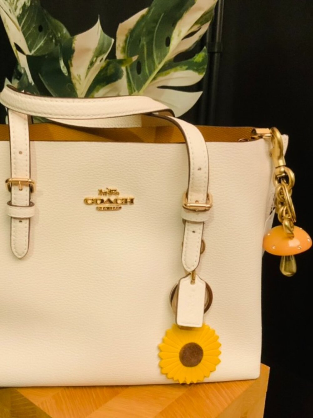 Coach Mollie Tote Bag with 2 authentic Coach charms